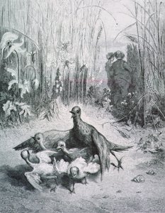 The Fable of the Lark, hänen nuoret ja alan mestari, kuvitus Fables of La Fontainen rnrn tekijältä Gustave Dore
