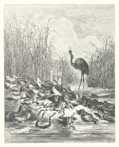 La Fontainen sadut: Fontaine: Sammakot, jotka pyysivät kuningasta (kaiverrus). tekijältä Gustave Dore