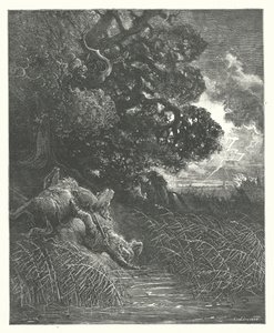 La Fontainen sadut: Fontaine: Tammi ja ruoko (kaiverrus). tekijältä Gustave Dore