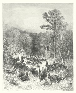 La Fontainen sadut: Fontaine: Kanit (kaiverrus) tekijältä Gustave Dore