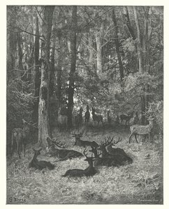 La Fontainen sadut: Fontaine: Sairas hirvi (kaiverrus). tekijältä Gustave Dore