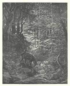 La Fontainen sadut: (kaiverrus): Hirvi katselee itseään virrassa (kaiverrus) tekijältä Gustave Dore