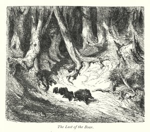 Viimeinen villisika (kaiverrus) tekijältä Gustave Dore