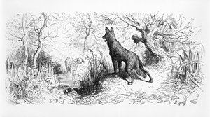 "Susi ja lammas", kuvitus Jean de La Fontainen (1621-95) "Fablesista" 1868 tekijältä Gustave Dore