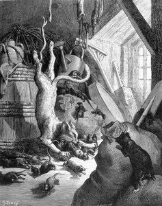 Kissa ja vanha rotta - La Fontainen "" Fables" -kirjassa, ill. Kirjailija: Gustave Doré tekijältä Gustave Dore