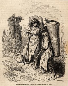 Xeresin poimijat. Gustave Doren (1832-1883) piirros havainnollistaa hänen matkaansa Espanjaan vuonna 1862 Ch. Davillier. Kaiverrus kirjassa "" Le tour du monde", toimittanut Edouard Charton tekijältä Gustave Dore