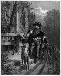 kaksi kyyhkysiä - kaksi kyyhkysiä - Jean de La Fontainen "Fables" -sarjasta tekijältä Gustave Dore