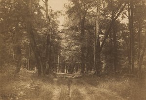 Bas-Bréau, Fontainebleaun metsä, 1849-1852. tekijältä Gustave Le Gray