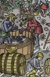 Sadonkorjuu - rypäleiden sadonkorjuu - Paimenkalenteri - Kuukausien työt - Lokakuu - Puupiirros Guy Marchantin (Guido Mercator) painamasta kirjasta 1496 Troyesissa - Puukaiverrus kirjassa "" Le grand Calendrier et compost des shepherds"" - Sato - ja th