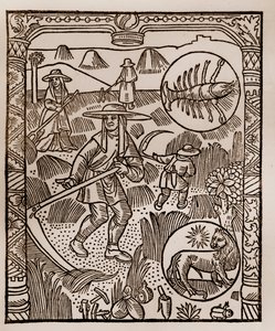 Paimenkalenteri - Kuukausien työt - Heinäkuu - Puupiirros Guy Marchantin (Guido Mercator) painamasta kirjasta vuodelta 1496 Troyesissa - Hay, la coupe des hay - Kaiverrus sur bois kirjassa "" Le grand Calendrier et compost des shepherds"" -