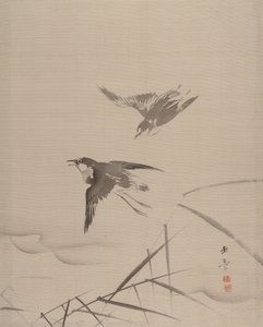 Pienet linnut ja bambu, 1887-92.