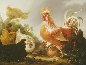 Kukko ja kanat maisemassa, 1649 tekijältä Gysbert Hondecoeter