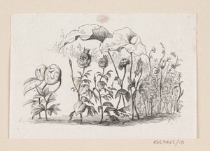 Kuvitus elokuvalle "Den lille Idas Blomster" H.C. Andersen, "Satuja ja tarinoita", osa 1 tekijältä H.P. Hansen
