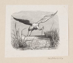 Kuvitus elokuvalle "The Storks" H.C. Andersen, "Satuja ja tarinoita", osa 1 tekijältä H.P. Hansen