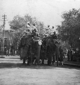 Punjabi-prinsessa ratsastaa norsulla kulkueessa, Delhi, Intia, 1900-luku.