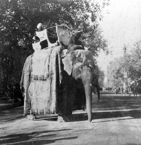 Elefantti rautatieaseman ulkopuolella Delhissä, Intiassa, 1900-luku.