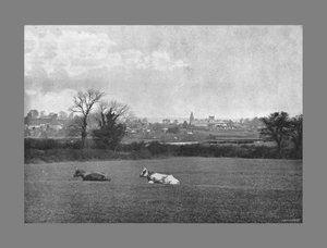 Southwell, 1900 tekijältä H. J. Bliss
