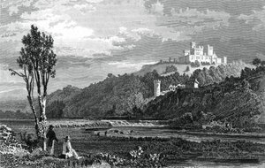 Coltsmansin linna, Corkin kreivikunta, 1800-1850. tekijältä H. Winkles