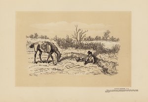 Metsästysluonnoksia, nro 8, Päättävästi viileä (kaiverrus)