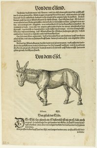 Kuvitus "Thierbuch", levy 42 teoksesta Puupiirroksia XVI vuosisadan kirjoista. tekijältä Hans Asper