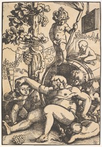 Humala Bacchus, n. 1520.