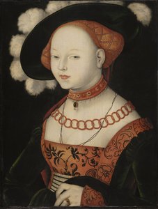 Saksan kieli: Bildnis einer Dame Portrait of a Lady (naisen muotokuva) tekijältä Hans Baldung Grien