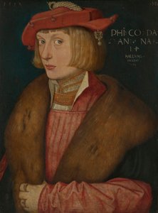 Saksa: kreivi Philip Soturi Philip Bellicosus kreivi Philip Bellicosus tekijältä Hans Baldung Grien