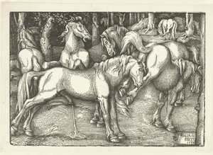 Kuuden taisteluhevosen ryhmä tekijältä Hans Baldung Grien