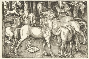 Seitsemän hevosen ja apinan ryhmä tekijältä Hans Baldung Grien