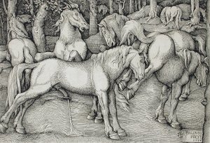  tekijältä Hans Baldung Grien