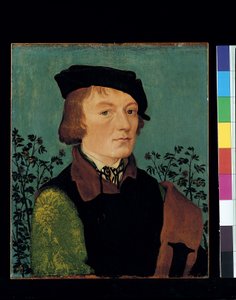 Miehen muotokuva ruususaidan edessä (öljy puulle) tekijältä Hans Baldung Grien