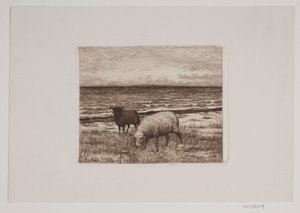 Lampaat rannalla tekijältä Hans Christian Gether Caspersen