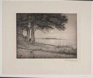 Fiord de Vejle finlandès tekijältä Hans Christian Gether Caspersen