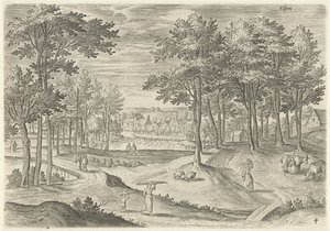 Vista d