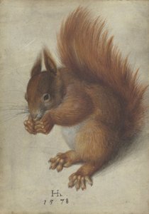 Punainen orava tekijältä Hans Hoffmann