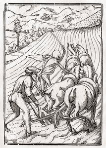 Kuolema tulee maanviljelijälle tai miehelle, kaiverrus Georg Scharffenberg, "Der Todten Tanz", julkaistu Basel, 1843 tekijältä Hans Holbein der Jüngere