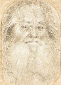 Tutkimus parrakkaasta miehestä [verso] tekijältä Hans Holbein the Elder