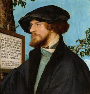 Bonifacius Amerbachin muotokuva, 1519 (öljy mäntyyn).