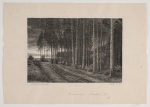 Sadepäivä kuusimetsässä tekijältä Hans Julius Fæster