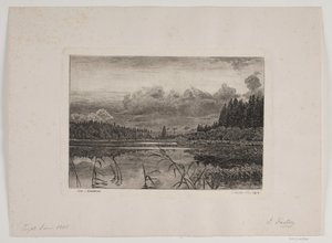 Järvi kuusimetsässä tekijältä Hans Julius Fæster