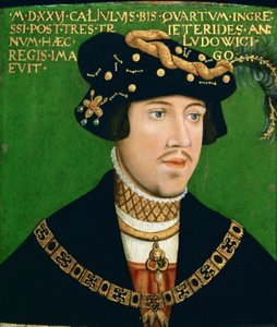 Muotokuva Ludvig II:sta, Unkarin kuninkaasta (1506-1526).