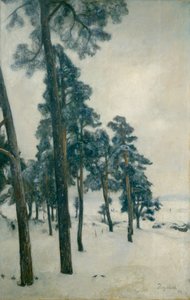 Bogstadin vedestä tekijältä Hans Olaf Heyerdahl