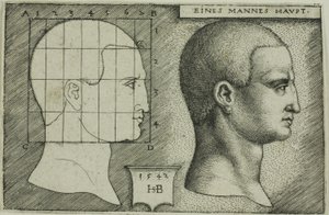 Profiili Study of Man