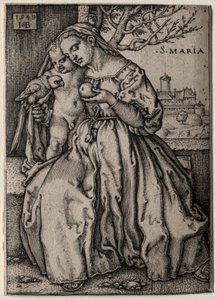 Neitsyt papukaijan kanssa, 1549. tekijältä Hans Sebald Beham