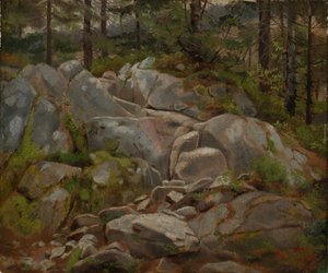 Kivilohkareita, joiden seassa on mäntyjen runkoja tekijältä Hans Thoma