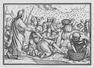Israelilaiset nurisevat halusta leipää, Exodus XVI, 4 tekijältä Hans after Holbein the Younger