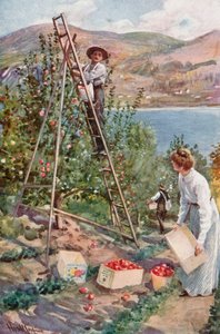 Hedelmätila Nelsonissa, Brittiläisessä Kolumbiassa tekijältä Harold Copping