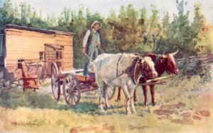 Pottarimaja ja hänen härkäryhmänsä tekijältä Harold Copping