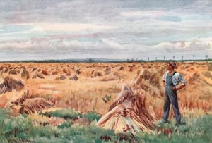 Manitoban vehnäpelloilla tekijältä Harold Copping