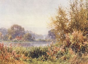 Syksyn rikkaruohot, Chilworth (värilitro)